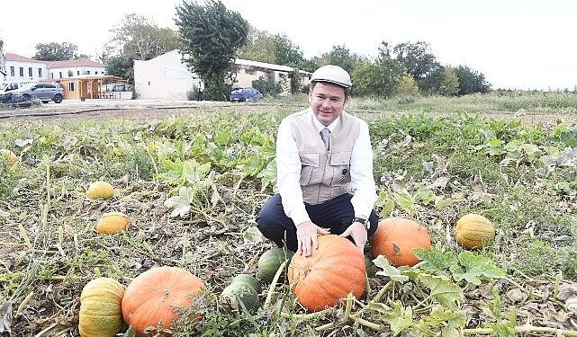 Osmangazi Belediyesi ata tohumlarını geleceğe taşıyor
