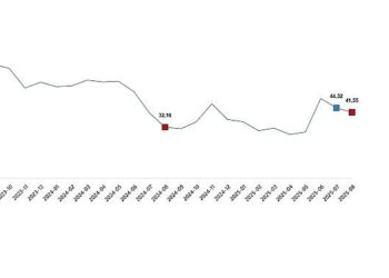 Tarım Ürünleri Üretici Fiyat Endeksi, Ağustos 2025
