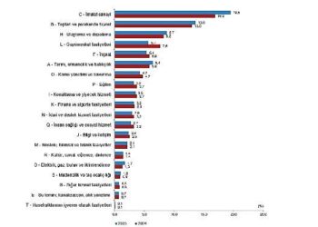 Yıllık Gayrisafi Yurt İçi Hasıla, 2024