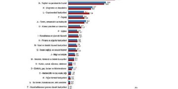 Yıllık Gayrisafi Yurt İçi Hasıla, 2024