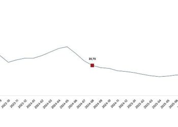 Yurt İçi Üretici Fiyat Endeksi, Ağustos 2025