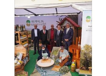Ayvalık’ta Zeytin ve Zeytinyağı Büyük Festival Pazarı Açıldı.