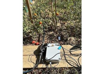 BİLGİ’li öğrencilerden sürdürülebilir tarıma katkı: Elektronik Kontrollü Damla Sulama Sistemi