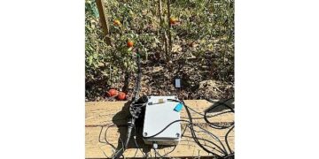 BİLGİ’li öğrencilerden sürdürülebilir tarıma katkı: Elektronik Kontrollü Damla Sulama Sistemi