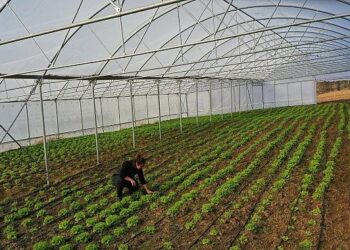 Büyükşehir’den çiftçilere modern sera desteği