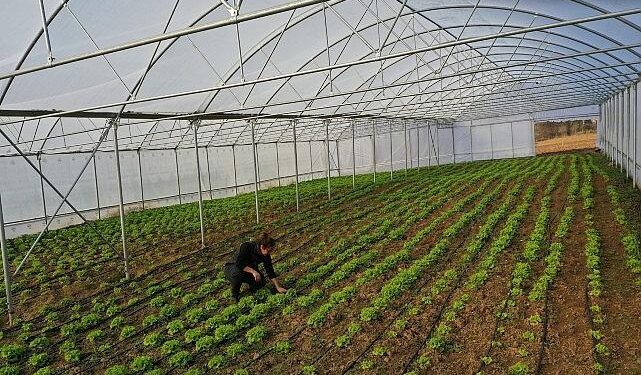 Büyükşehir’den çiftçilere modern sera desteği