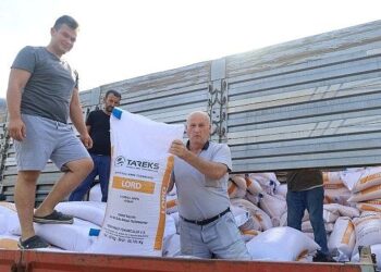 Büyükşehir’den çiftçiye yüzde 75 hibeli tohum desteği