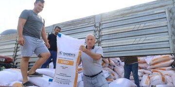 Büyükşehir’den çiftçiye yüzde 75 hibeli tohum desteği