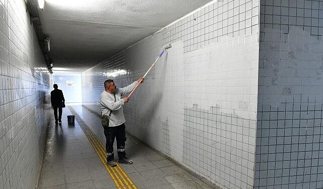 Çiğli’de sonbahar bakımı: Ağaçlar budanıyor, kent güzelleşiyor