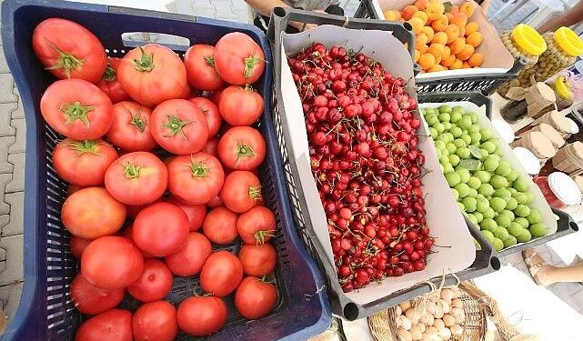 Efes Tarlası Yaşam Köyü’nde Üretici Pazarı 19 Ekim’de kapılarını açıyor