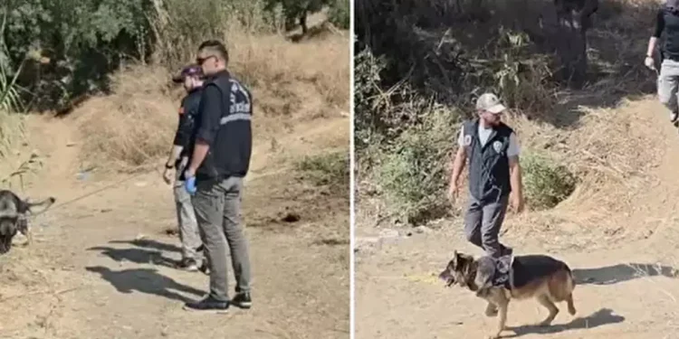 İzmir’de Annesinin Toprağa Gömdüğü Bebeği Arama Çalışmaları Sürüyor