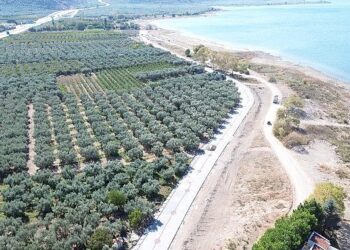 İznik’te Merkezden Kırsala Hizmet Ağı