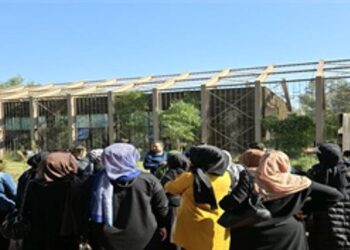 İZTAM’da kadın çiftçilerin günü