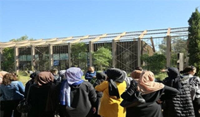 İZTAM’da kadın çiftçilerin günü