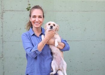 Karşıyaka’da can dostlar için 25 ton mama toplandı