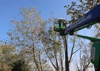 Kartepe’de Yeşil Alanlara Bakım