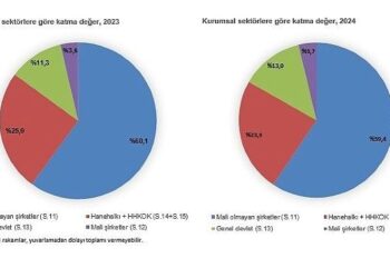 Kurumsal Sektör Hesapları, 2024