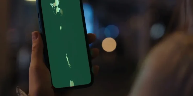 Ses kaydıyla her şey ifşa olmuştu! Baldızla 20 yıllık yasak aşk cinayetinde yeni karar