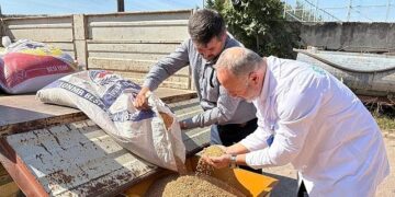 Seyyar selektör makinesi çiftçilerin hizmetinde