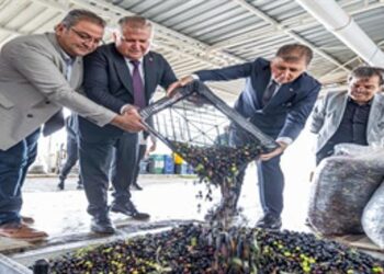 Sezonun ilk zeytinyağı Başkan Tugay’dan