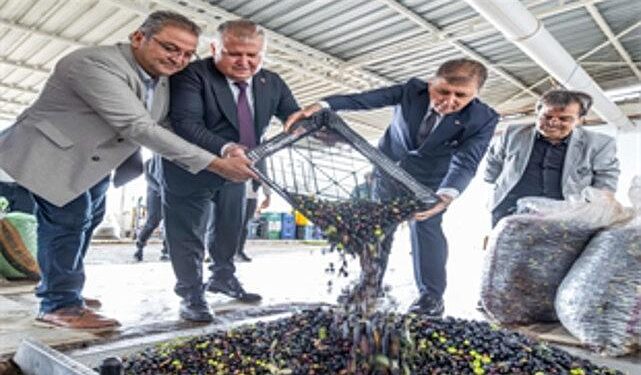 Sezonun ilk zeytinyağı Başkan Tugay’dan
