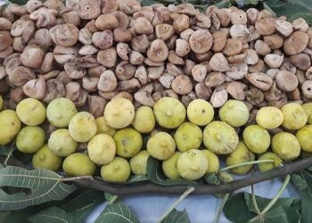 Türk kuru incir ihracatçılarından Avrupa Birliği’ne; “Kuru incirde ev ödevimizi yapıyoruz” mesajı