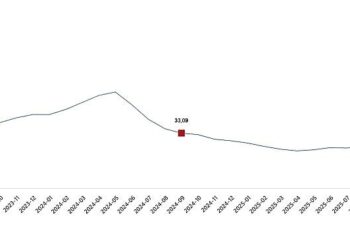 Yurt İçi Üretici Fiyat Endeksi, Eylül 2025