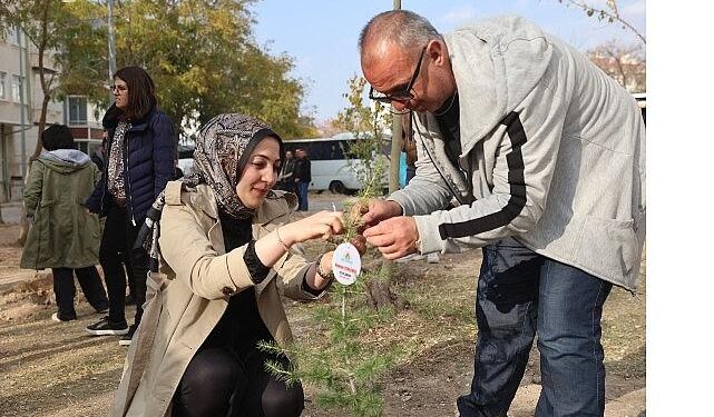 11 Kasım Ağaçlandırma Günü’nde Fidan Dağıtımı ve Fidan Dikimi