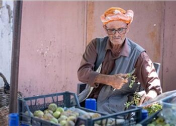 Beydağ incirinin katma değeri artıyor