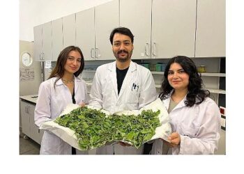 BİLGİ’li öğrenciler antibiyotik direncine karşı yenilikçi ve doğal bir yöntem geliştirdi