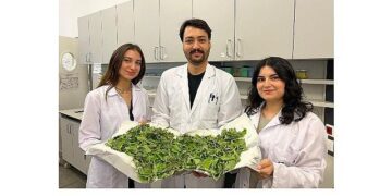 BİLGİ’li öğrenciler antibiyotik direncine karşı yenilikçi ve doğal bir yöntem geliştirdi