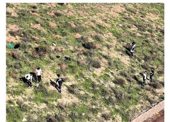 Büyükşehir’in dokunuşlarıyla Kocaeli yeşile doyuyor