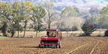 Büyükşehir’in hibeli tohumları toprakla buluştu