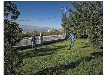 Dilovası Millet Bahçesi dip köşe temizleniyor