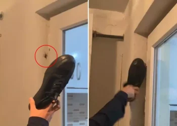 Duvardaki örümceğe ayakkabı ile vurdu, sonrasında olanlara inanamadı