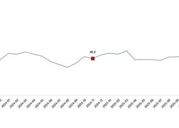 Ekonomik Güven Endeksi, Kasım 2025
