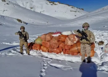 Hakkari ve Ağrı’da uyuşturucu operasyonu! 1 kişi gözaltına alındı