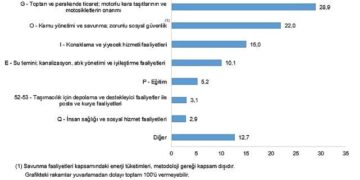 Hizmet-Ticaret Sektörü Nihai Enerji Tüketim İstatistikleri, 2024