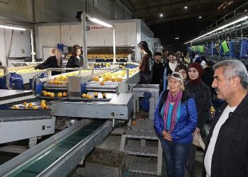 “İşinizi aşkla yapın dürüst olun başarı peşinden gelecek”