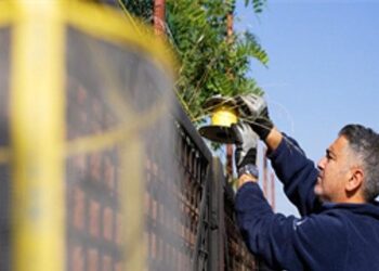 İzmir Büyükşehir Belediyesi’nden karasinekle yoğun mücadele