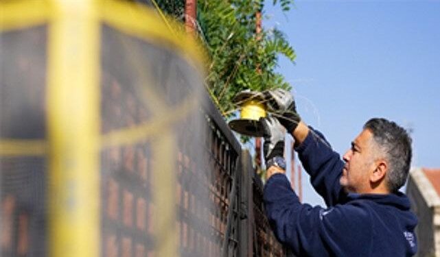 İzmir Büyükşehir Belediyesi’nden karasinekle yoğun mücadele