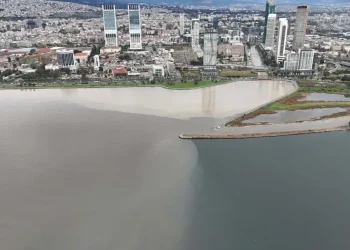 İzmir Körfezi’nde Renk Değişikliği