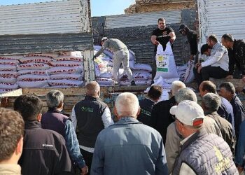 Konya Büyükşehir’den Çiftçiye Kuraklığa Dayanıklı Mercimek Tohumu Desteği