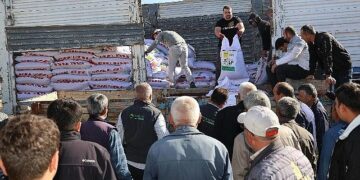 Konya Büyükşehir’den Çiftçiye Kuraklığa Dayanıklı Mercimek Tohumu Desteği