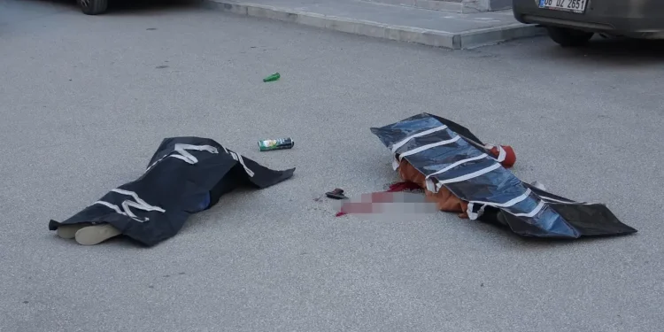 Erzurum’da Kadına Yönelik Şiddet: Cinayet ve İntihar