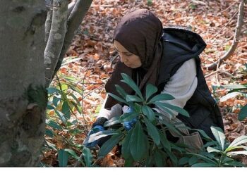 Kuzuyayla’da mantarların gizemli dünyası keşfedildi