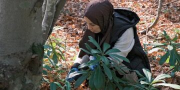 Kuzuyayla’da mantarların gizemli dünyası keşfedildi