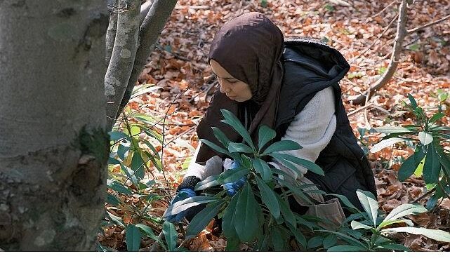 Kuzuyayla’da mantarların gizemli dünyası keşfedildi