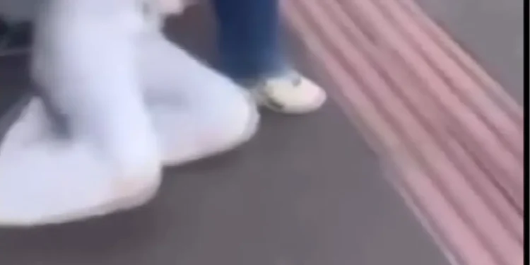 Diyarbakır’da Lise Öğrencisine Sokakta Saldırı