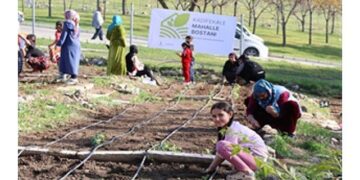 Mahalle bostanlarında kış dikimleri başladı